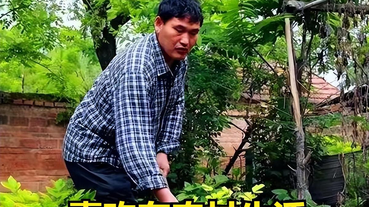 朱之文下狠手赶走门前客，不许儿子上班，邻居暗暗叫苦，财路断了