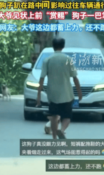 笑不活了！”贵州一小狗，悠然自得的卧在马路中间，导致来往车辆堵塞，一位霸气侧漏的