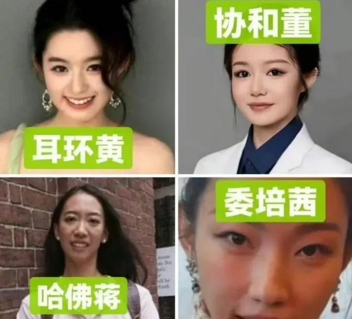 2025年新评出的4大美女！这四位姑娘突然就火起来了，标签比名字还要响亮！“耳环