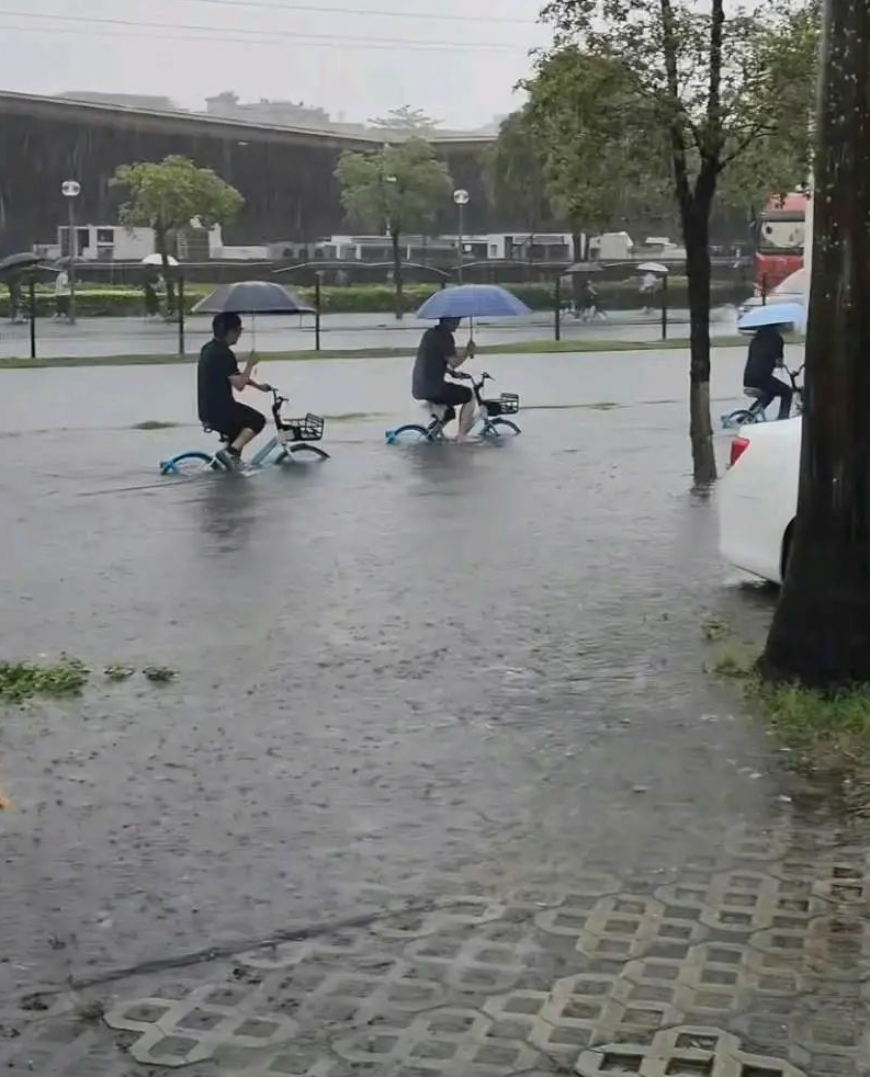 乘风破浪的打工人。