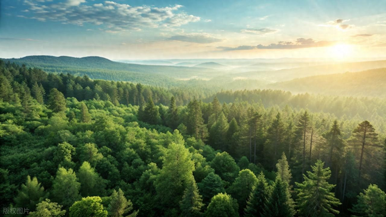 无塑纯纸三边封棉纸袋GRS认证手机屏幕IC 芯片棉浆保护袋FSC认证