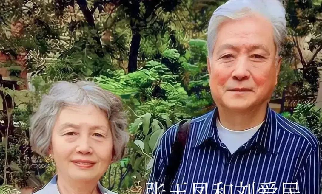 张玉凤和丈夫刘爱民，一生育有2个如花似玉的女儿。刘爱民一表人才，长相帅气，眉心有