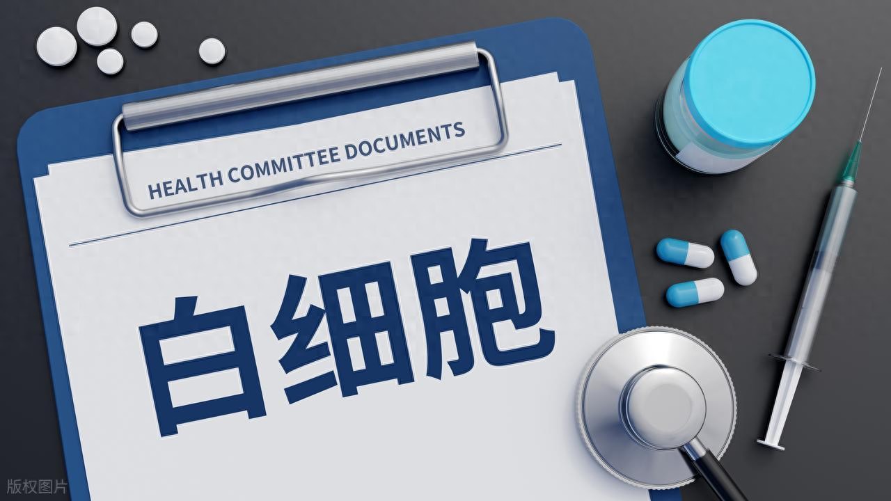 不想靠西药升白细胞？试试中医调理思路，从根源帮你改善体质