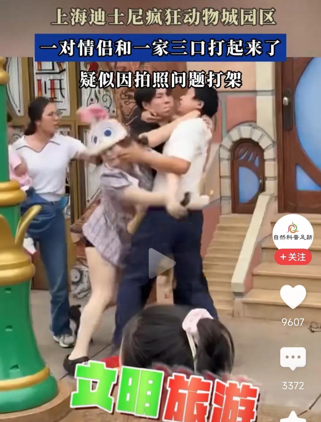 上海迪斯尼这事，如果我在场，铁定打不起来，因为我喜欢“管闲事”。我就纳闷了，我在