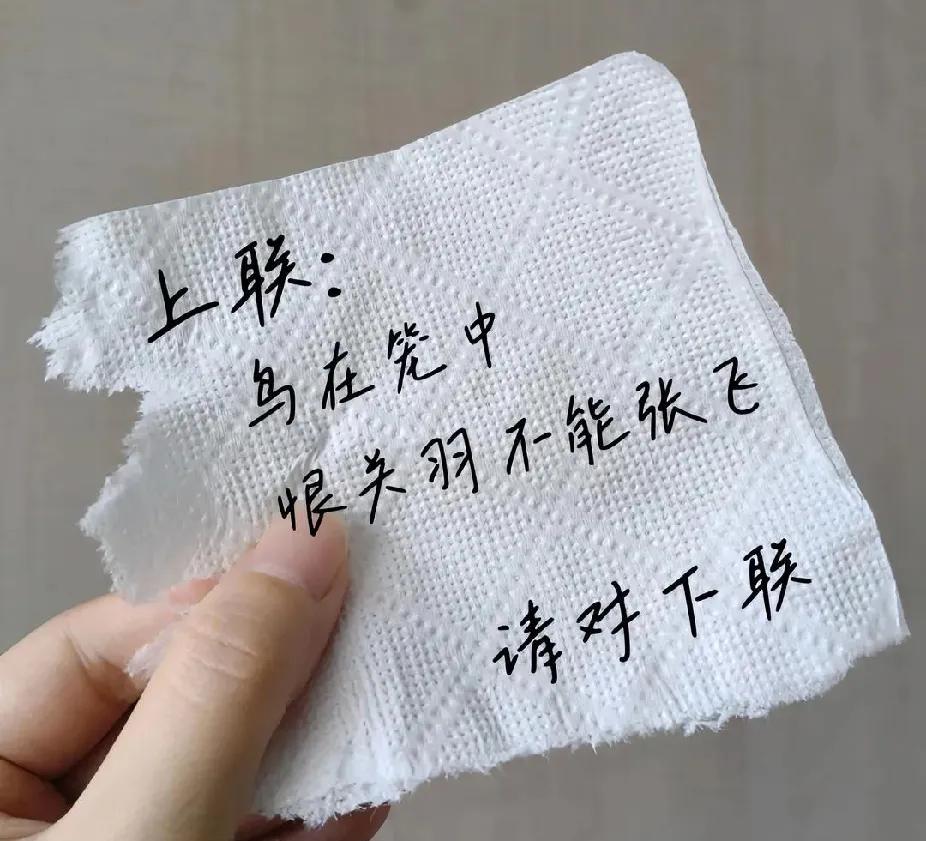 上联：鸟在笼中恨关羽不能张飞，
有请高手们对下联