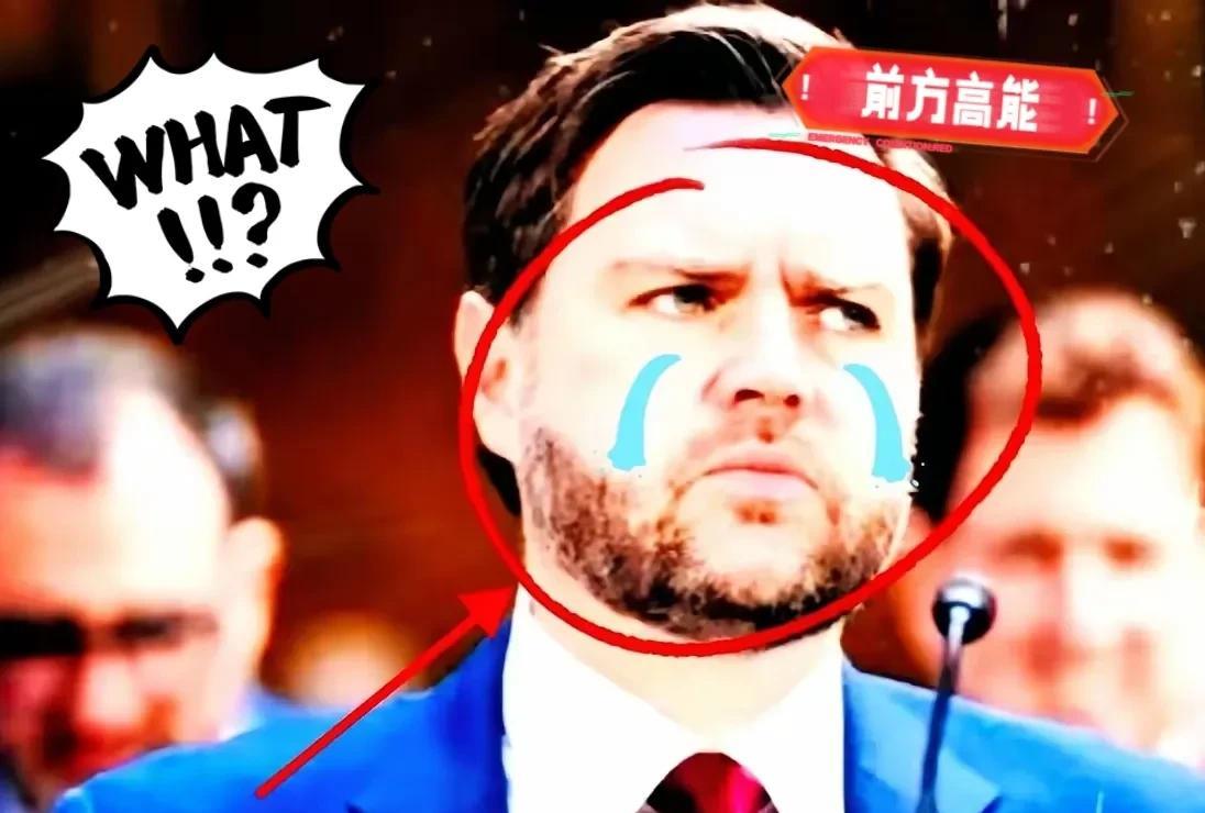 万万没想到
鹰酱万斯不沉默了！
万斯很愤怒，因为他发现东方大国并没有像美国一样积