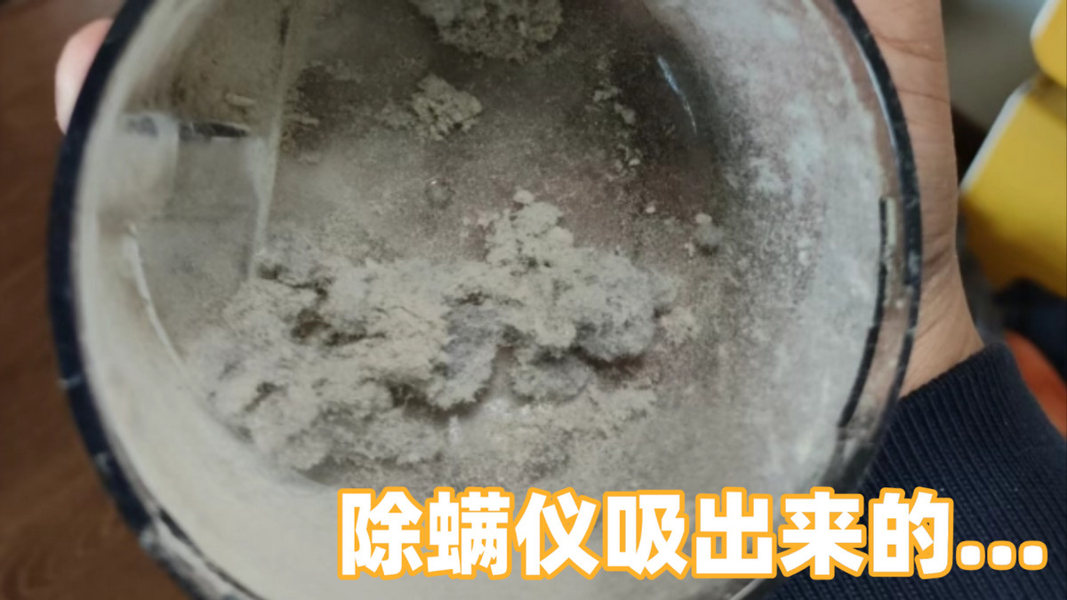 除螨仪什么牌子最专业？揭秘除螨仪品牌排行榜前十名！最新！