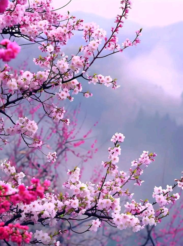 春风醉酒又喝高，
夜间轻搂桃花腰，
花儿笑风心不轨，
………请友补句………？
[