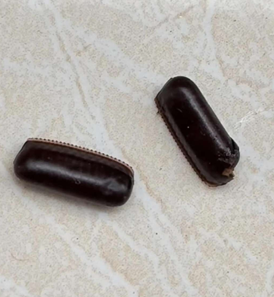从窗帘扣下来的两颗红豆粘的很紧，这是什么啊