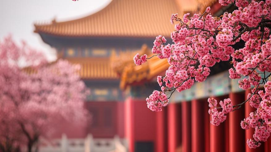 三月古诗｜春风乍起，带你寻找藏在诗词里的春天