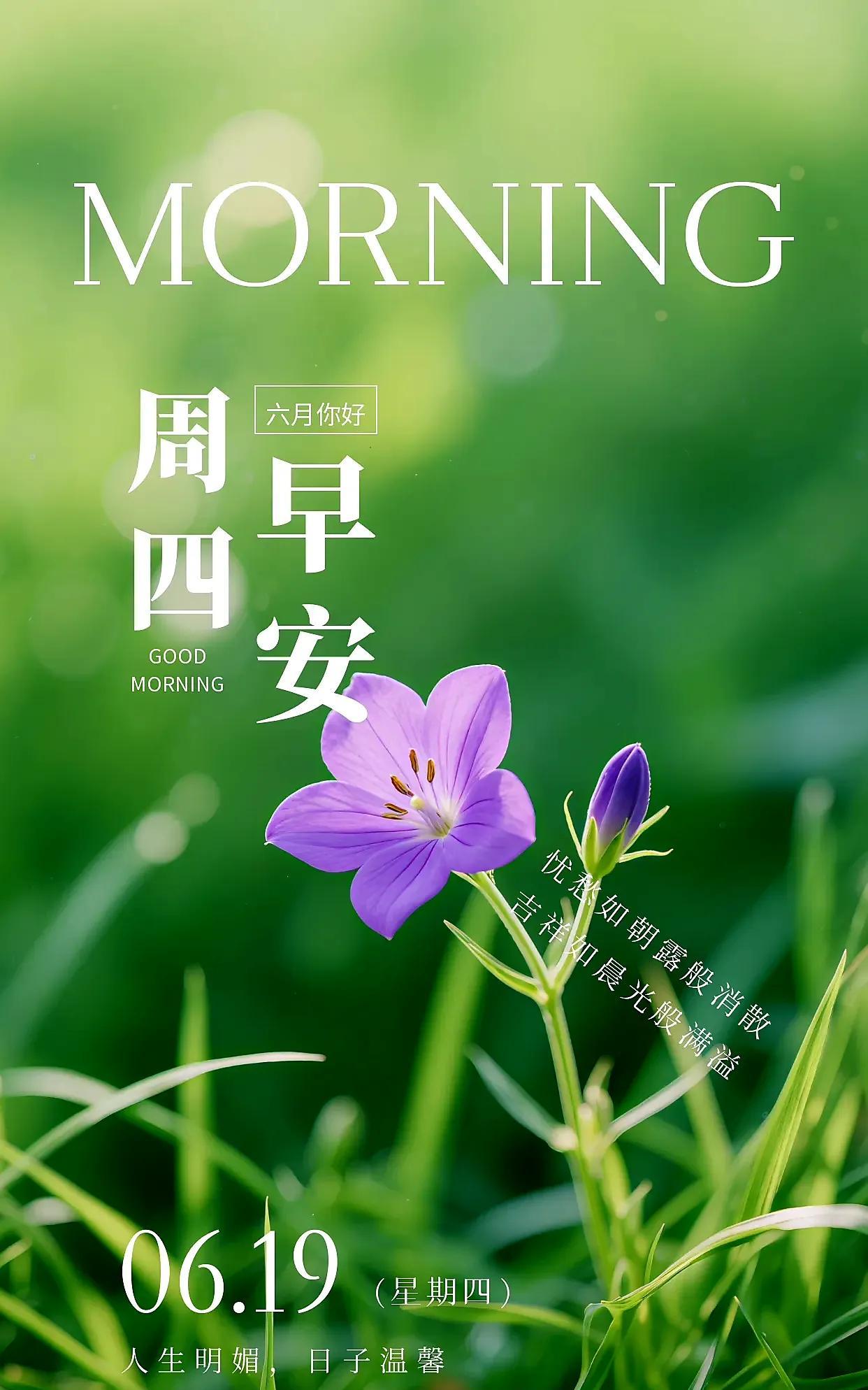 美丽的清晨，唤醒灿烂的微笑；清新的空气，涤荡生活的烦恼；多彩的阳光，映照人生的喜