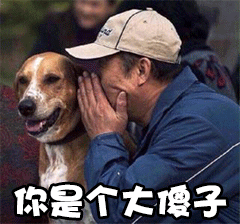伊朗驻中国大使称，唯有真正彻底地向美国和欧洲国家屈膝投降，他们才会善待你！
这段