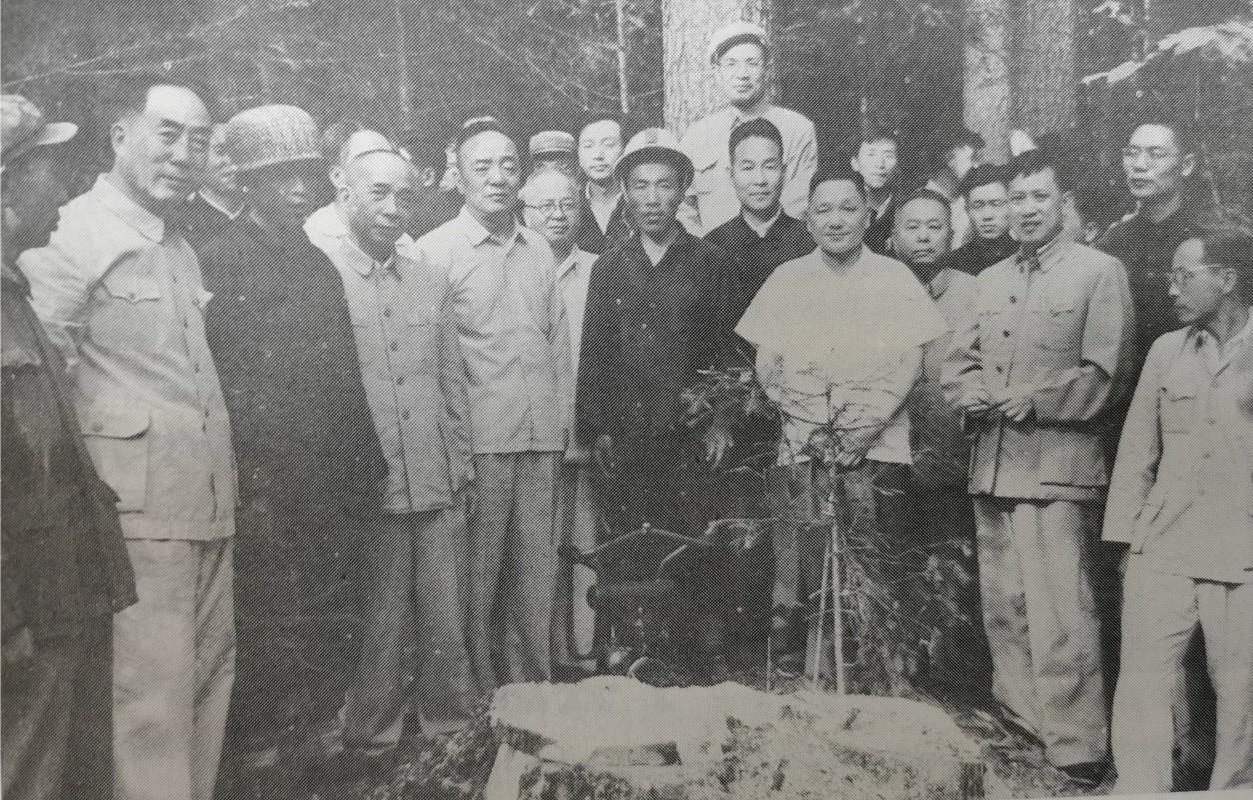 1964年夏天，4位开国元勋在东北林区视察参观，一看就知道谁是领军人。

