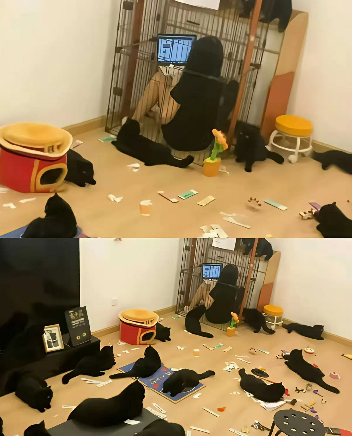 主打一个安静😂