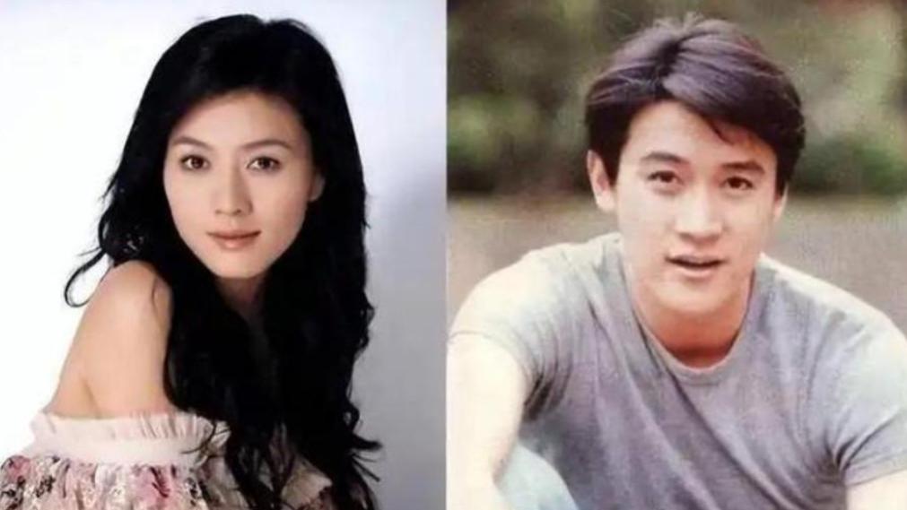 ​从“倒追陆毅”到“亿万女强人”：田海蓉的逆风人生，堪称现实版大女主！