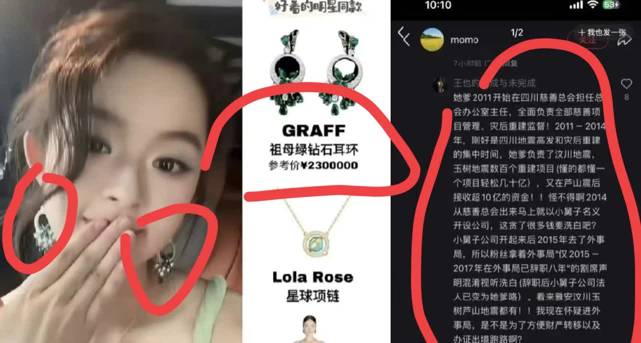 因为是雅安呐，那么多地震重建家庭，疑似230万的耳环必须查！到雅安人民和全国人民