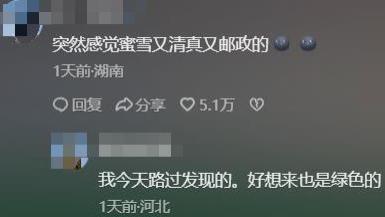 闹剧愈演愈烈！红十字再变绿十字，刷绿后紧急拆除，当地回应