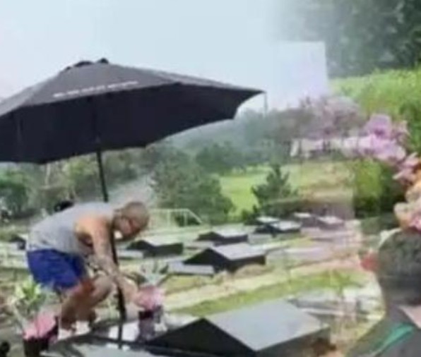 哎，无论是大S、还是S妈，都是算计来算计去。
 
结果到头来一场空，甚至小S也波