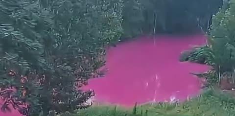【河南洛阳一处水体呈粉红色，多部门组成调查组排查两岸企业并采样水体】
据新京报报