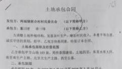 16年低价承包+超占75亩！山东日照联合村集体资产保卫战引全民关注