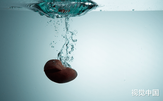 我把癌变的肾换给弟弟后，全家都疯了