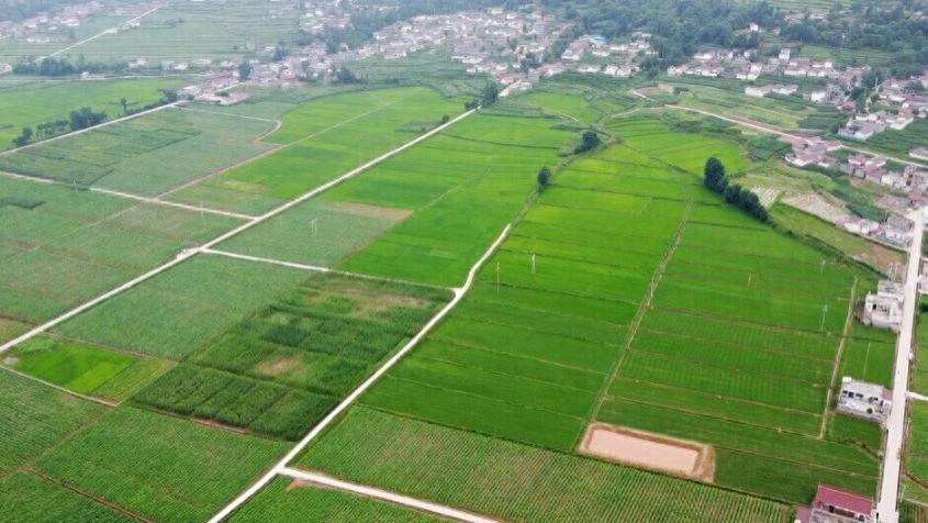 济南 63 亩集体土地置换引纠纷，551 名村民多年维权盼厘清权属