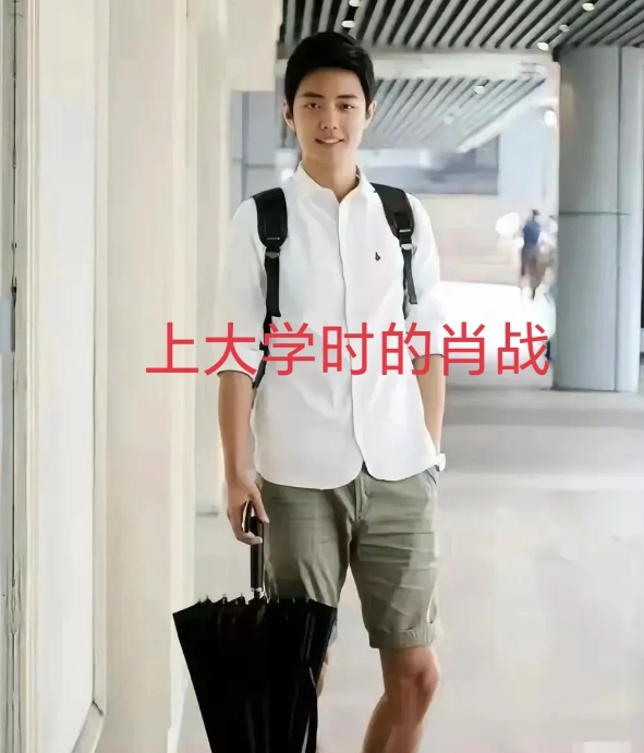 看了肖战才知道
温润如玉，翩翩公子现实中是存在的
时间跨度从大学到2025竟然没