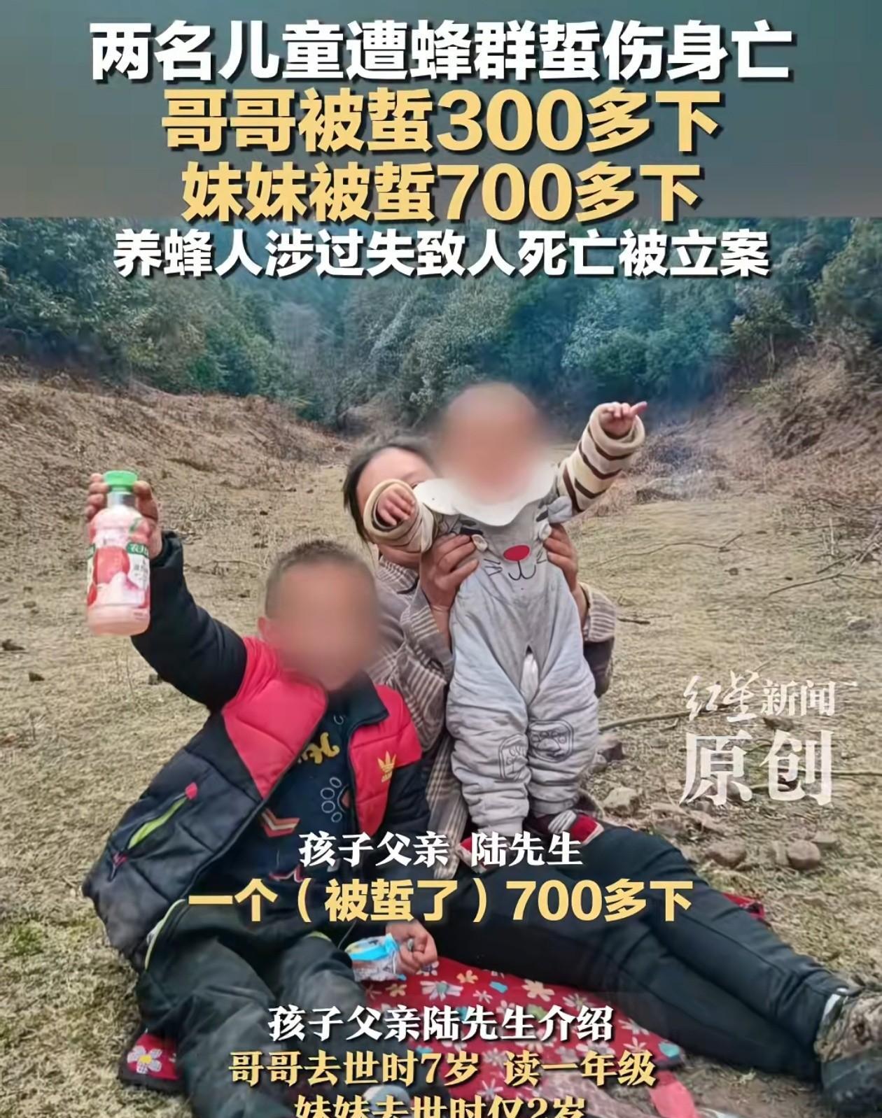 云南兄妹两人被马蜂蜇死后续，养蜂人李先生说200万的赔偿太高，他养蜂去年一年才挣