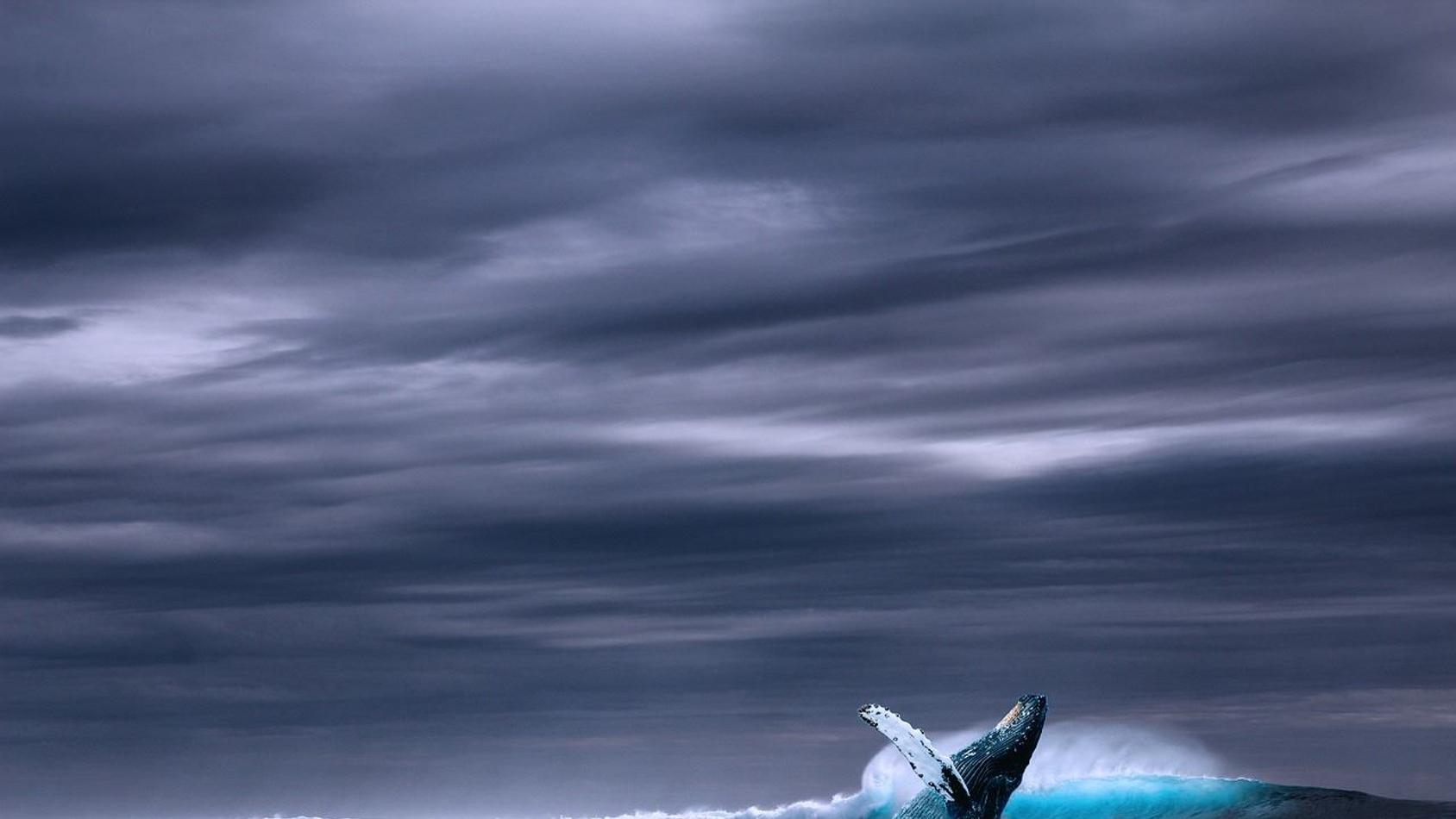 怎样停止脑子里的“胡思乱想”？