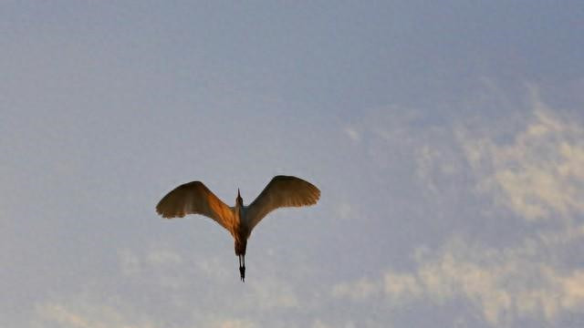 四月金水逆后的蜕变与机遇——天蝎座的全新篇章