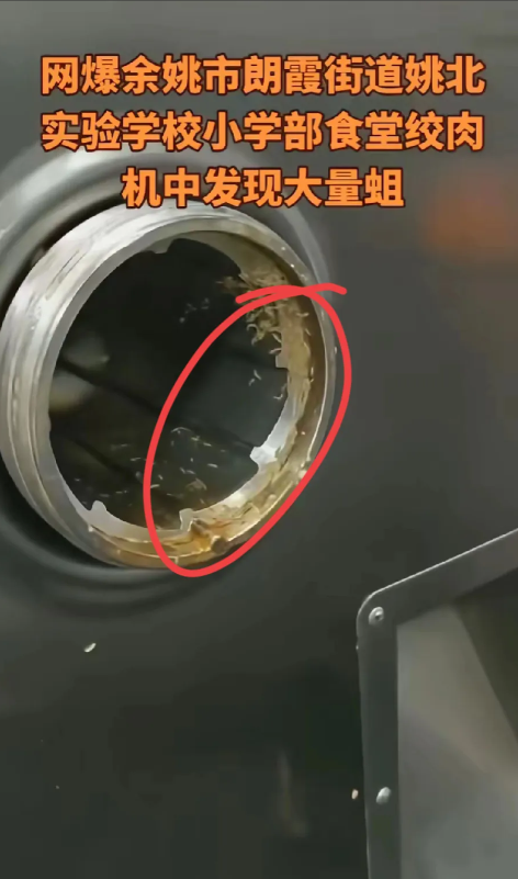 你能想象吗？

孩子每天吃的肉，竟然是从爬满活蛆的绞肉机里绞出来的！

这段浙江