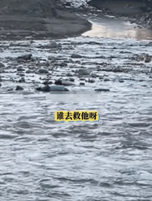 一个男子趴在浅水区喊救命，对岸的两位女子当初还觉得很可笑，后来越看越不对劲儿，男
