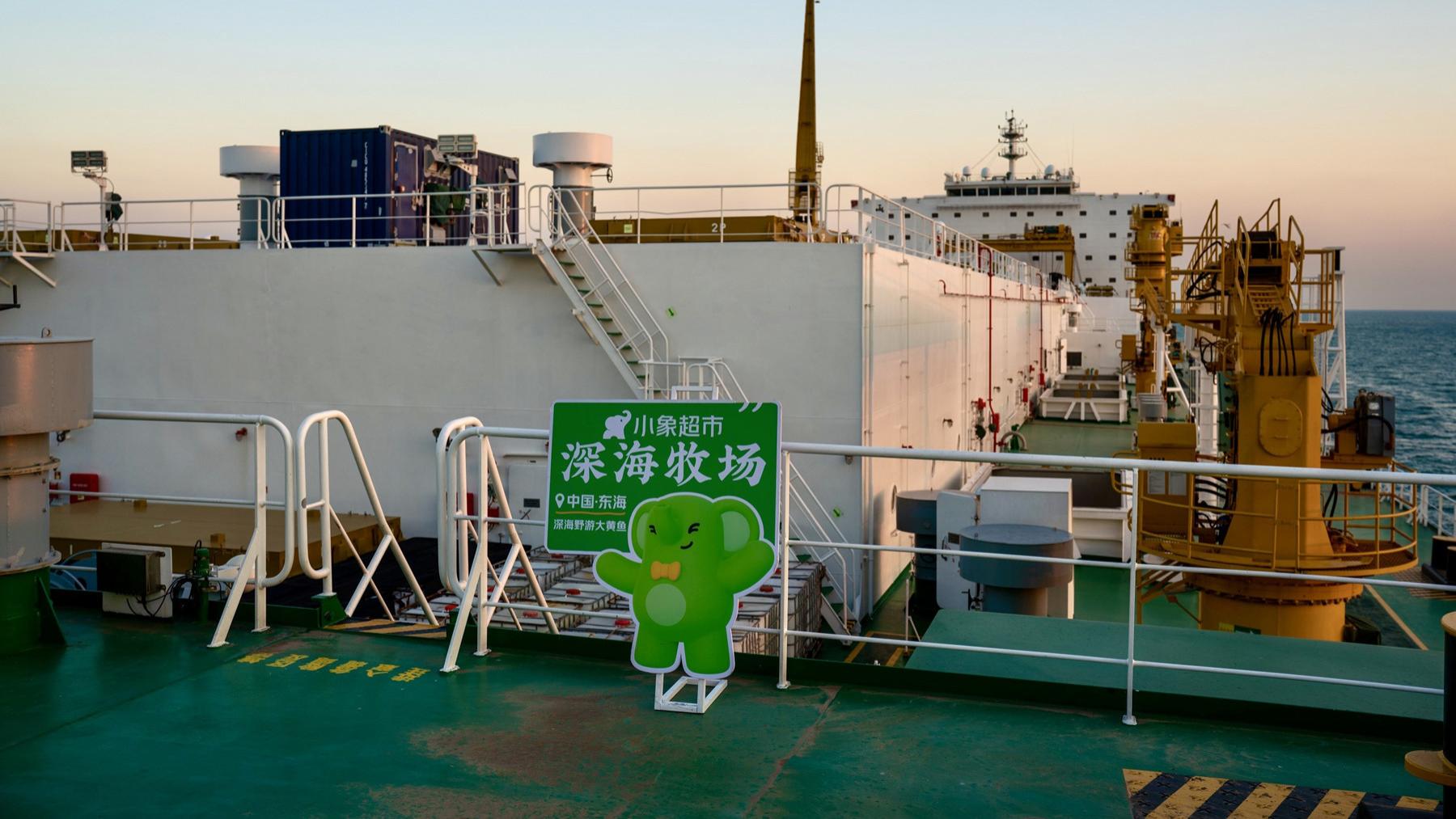 从深海到餐桌：小象超市如何打通大黄鱼的36小时“出海路”？