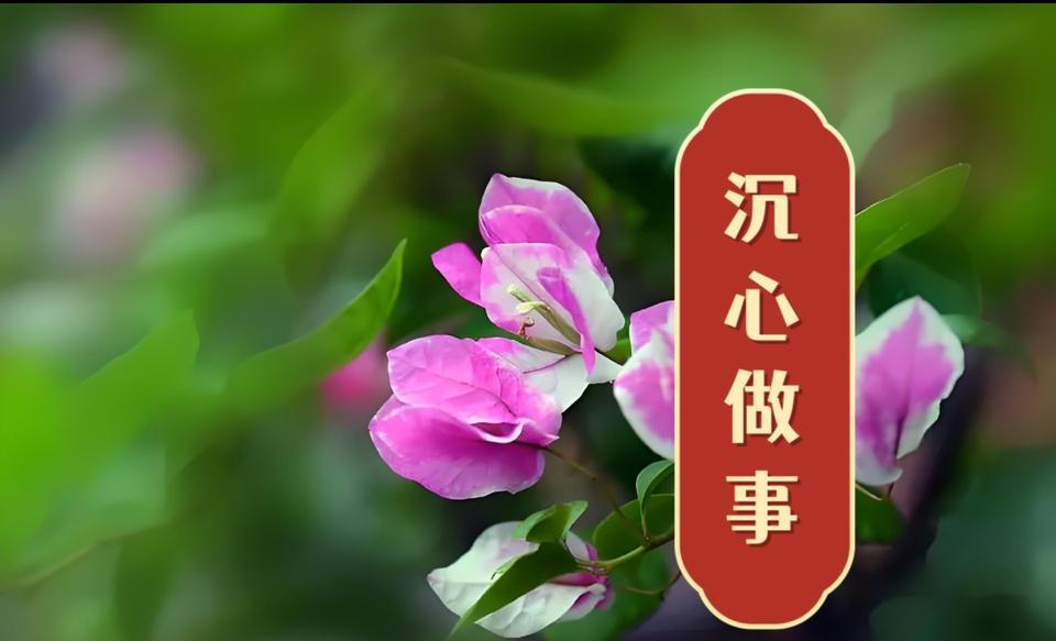 理性专注而不缺智慧激情，是确保球员场上高效发挥的关键因素。
       CBA