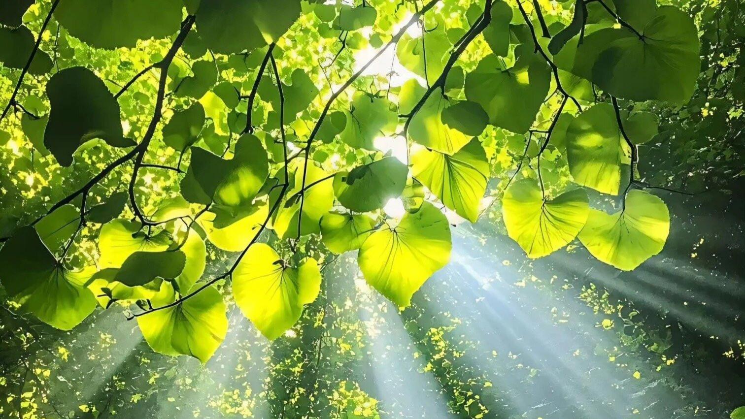 好像大家都不想找对象结婚了：4 组数据 + 3 大趋势，拆解当代年轻人的婚恋选择