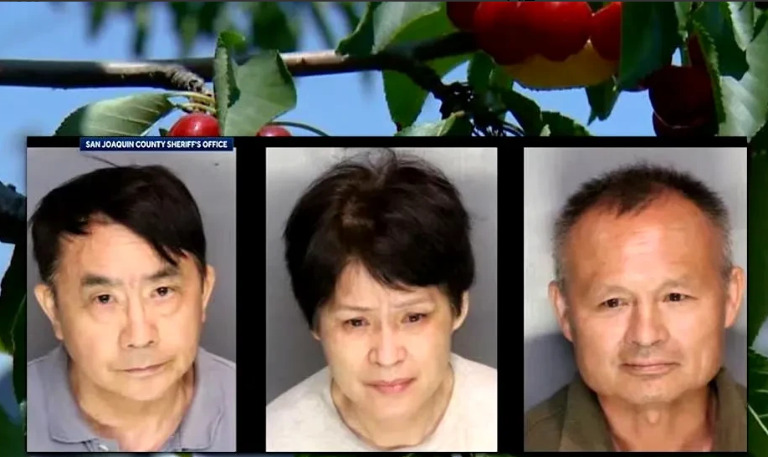 华人偷樱桃被抓，估计要坐牢了











这事儿真是让人跌破眼镜！三个