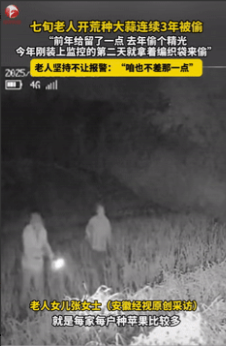 良心不会痛吗？山东，70多岁大爷辛苦开荒种一些大蒜，不料却被人连偷三年，第一年还