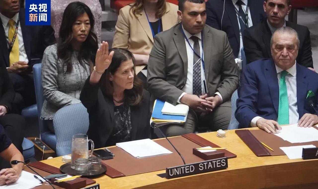 这才是美国的真面目！安理会加沙人道主义决议草案遭美国一票否决。14国投赞成票，但