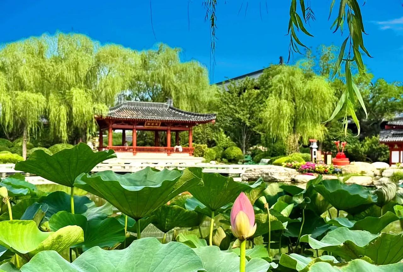 简单的自在
 [烟花][烟花][烟花]
    不多看，不多问，不多言，不多想，