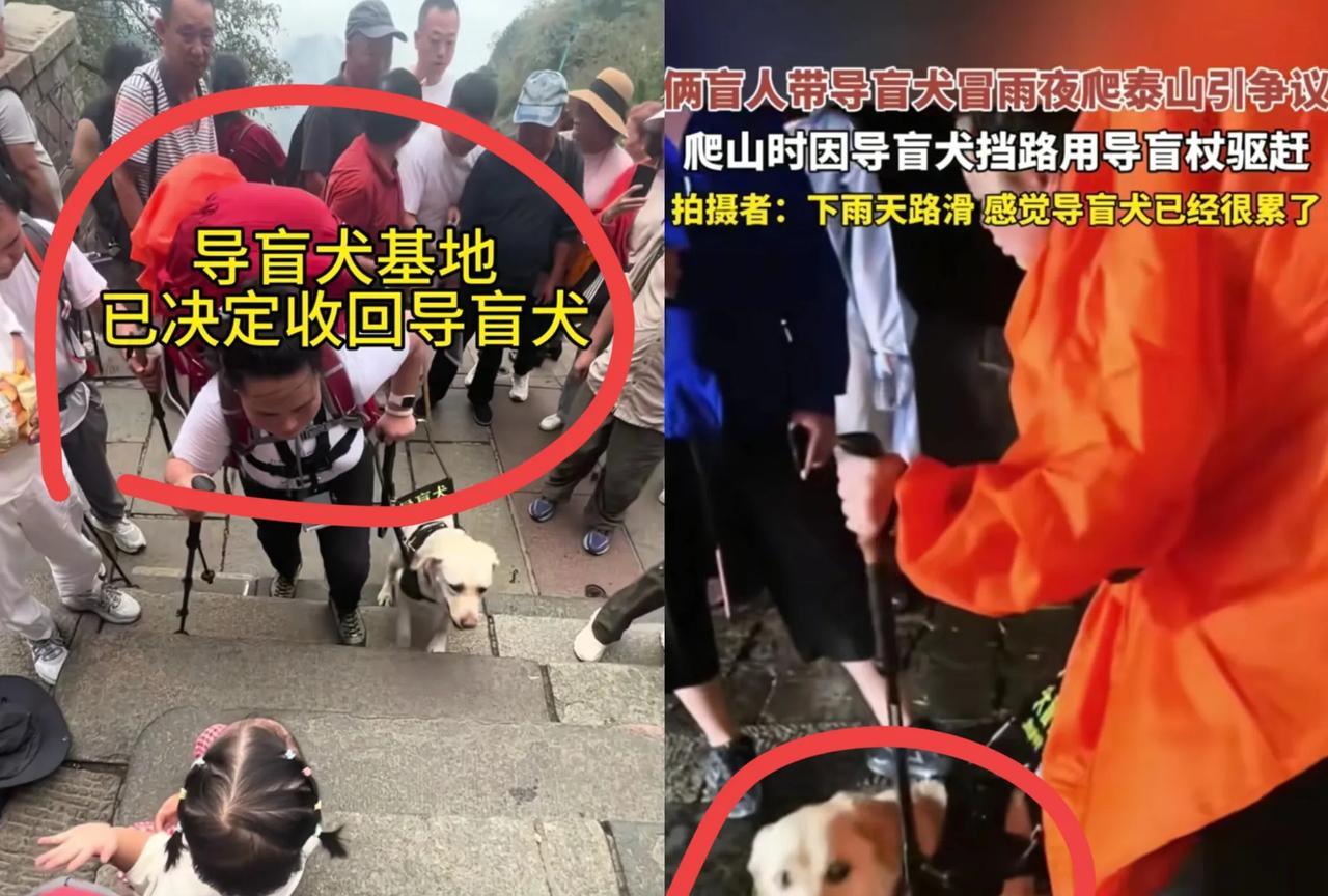 给基地点赞，回应迅速，决策果断，及时收回导盲犬。我养狗的，看到那俩盲人的做法，气