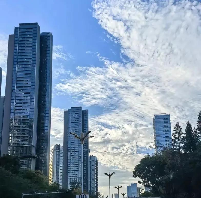 买房子买高处还是低处呢？
以前我一直认为应该住在高处。
我们这个城市丘陵地带，上