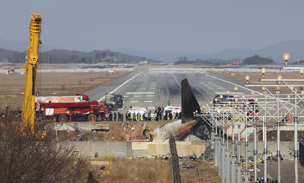 去年的济州航空坠机事件初步调查结果：撞鸟→→右发动机严重受损。



飞行员却手
