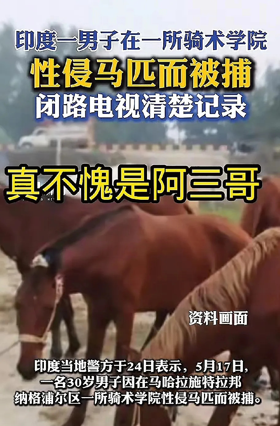 印度男子骑马学院性侵马匹被拍











简直让人难以置信！光天化日之