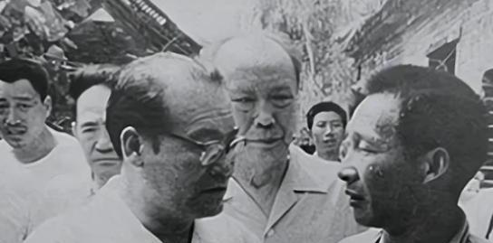 1979年的一次大会上，杨显东大胆发言，他犀利直接的语言，瞬间在农业界炸响，最终