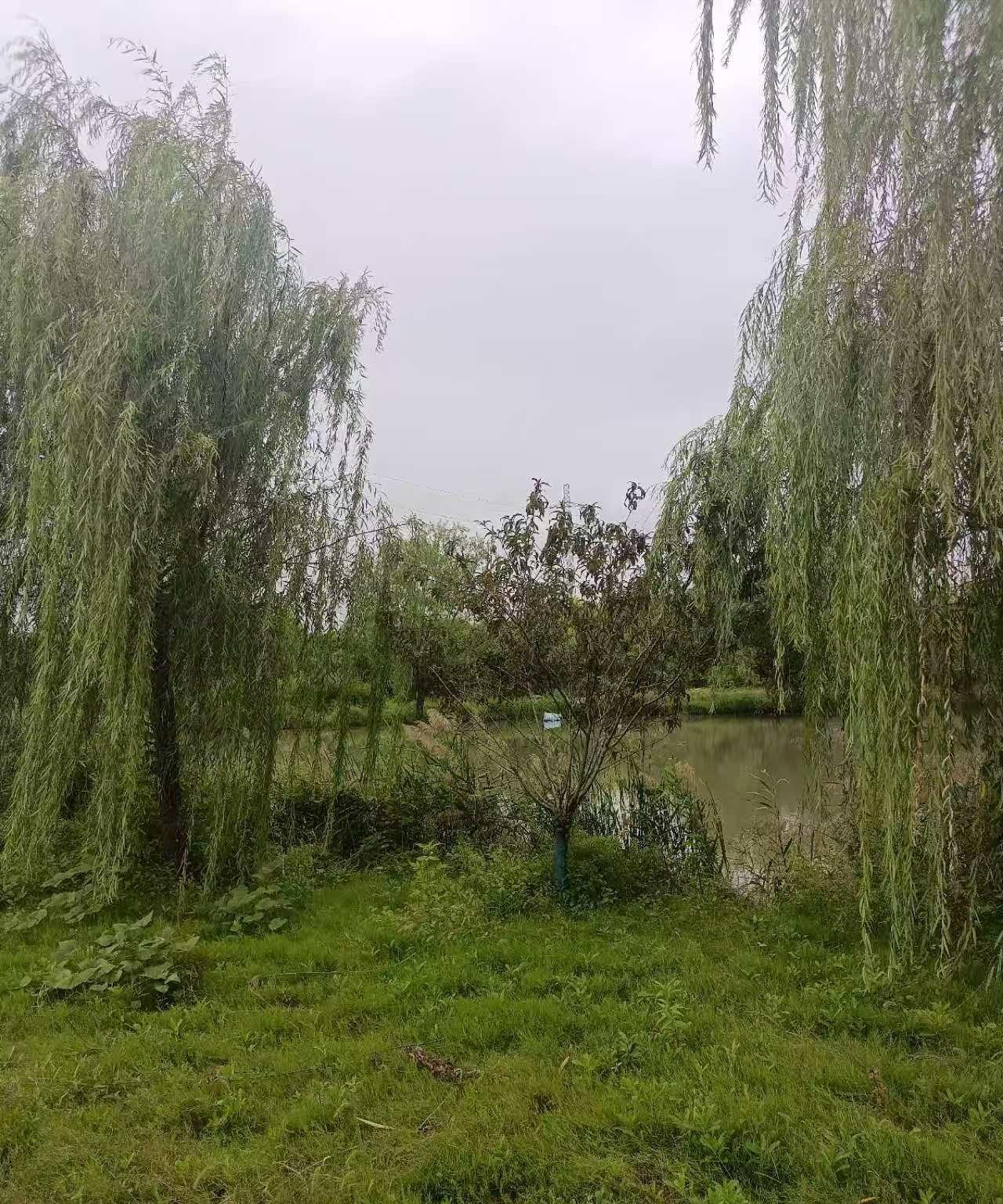我对我老公说：“有很多网友说我们的做的不对，孩子不好，都是我们的责任。好像就他们