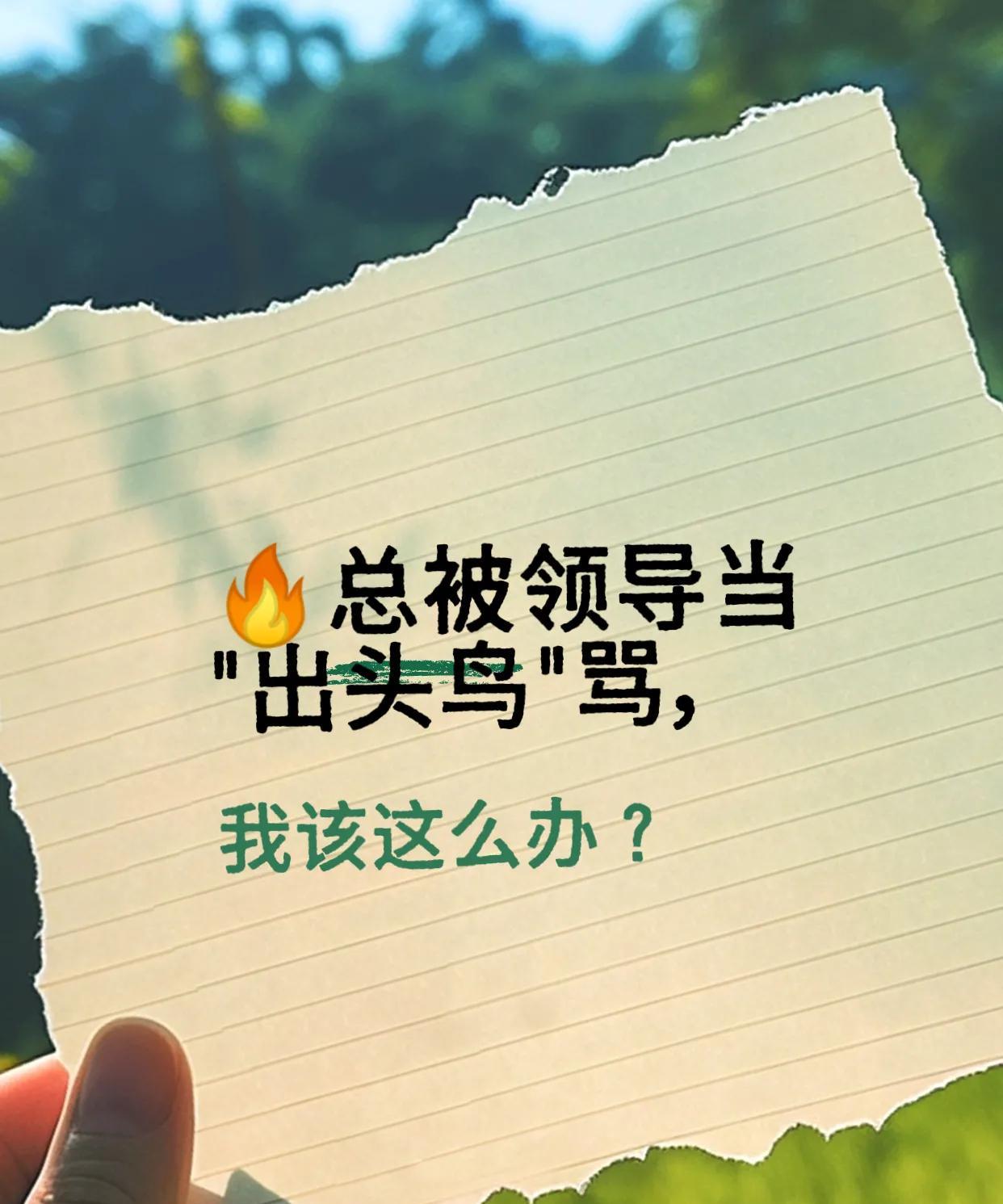 最近每周的部门会上，总是被领导第一个提名汇报，汇报他总能挑出很多不满，然后就说我