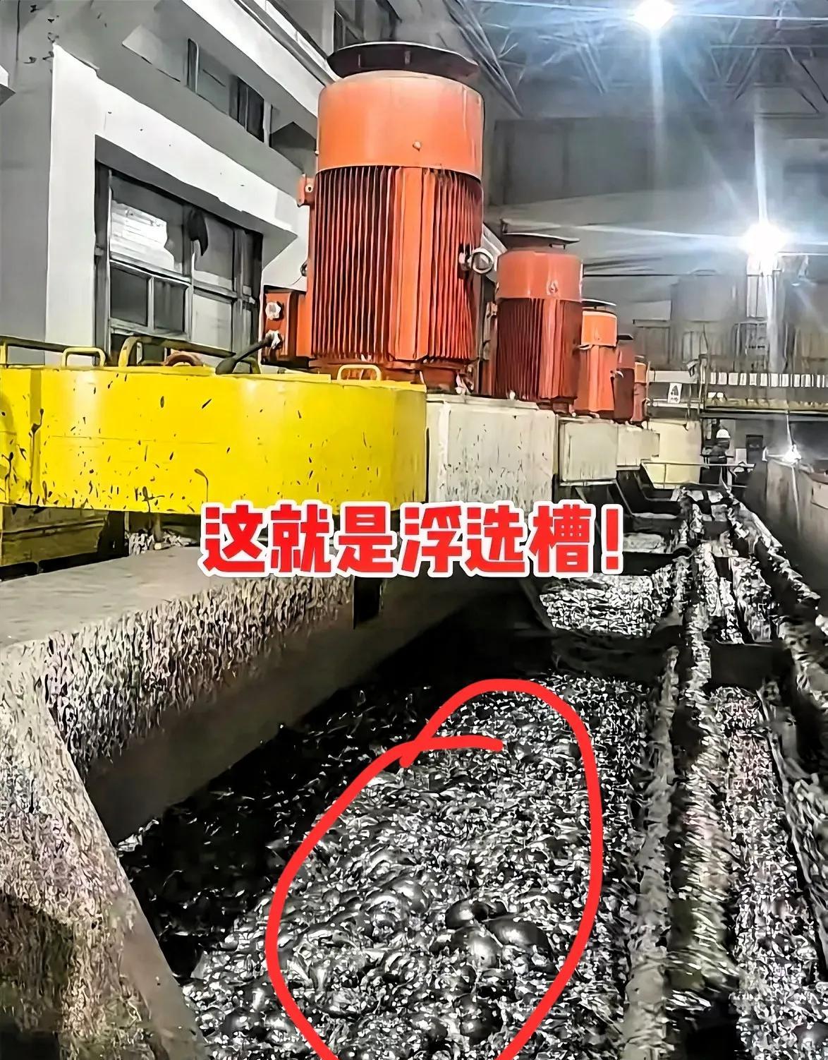 说掉进浮选槽的学生“不会游”，
简直是没常识到离谱。
那槽里哪是普通水？40到6