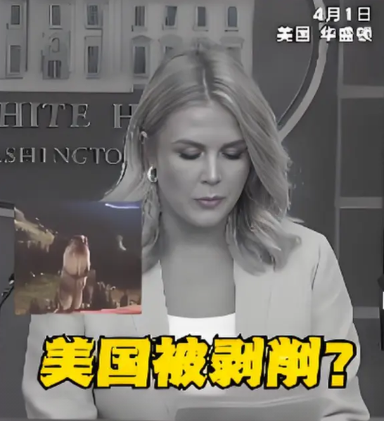 美白宫刚放出消息，美国人已然准备破釜沉舟，这场关税大战，看来是非打不可了！

美