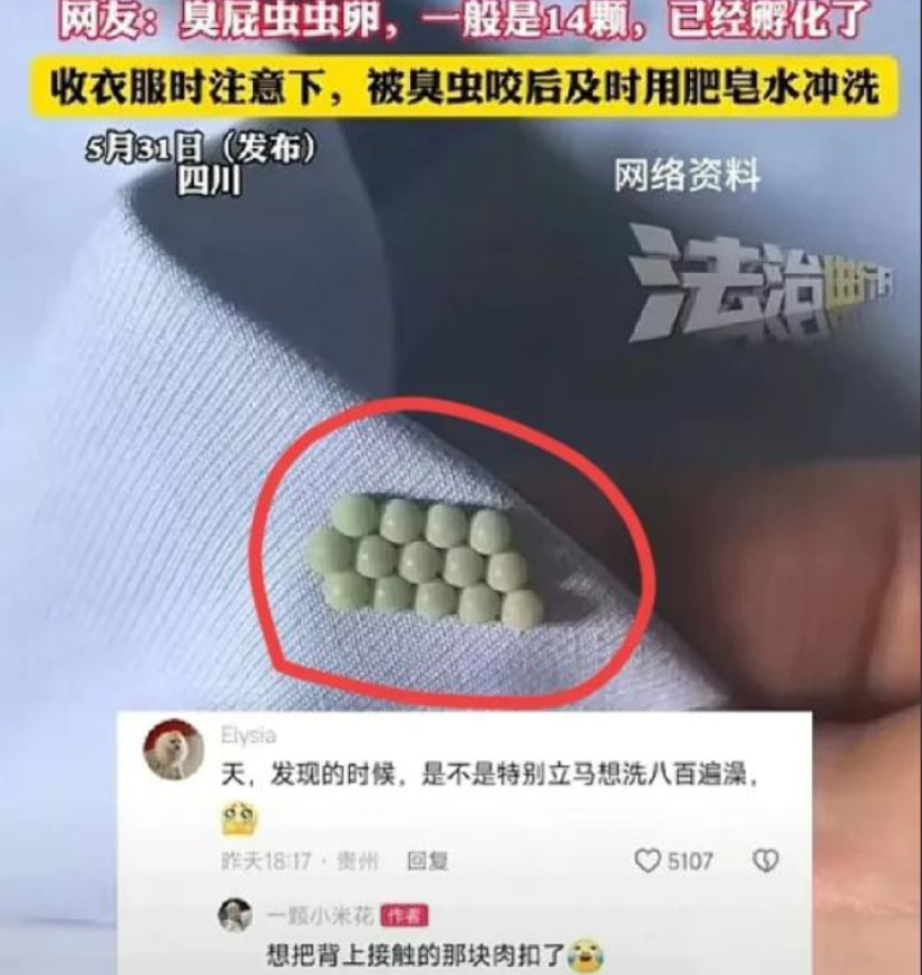 “太恶心了！”5月31日四川，一女子起床穿内衣，结果，却总感觉扣不舒服，她将内衣