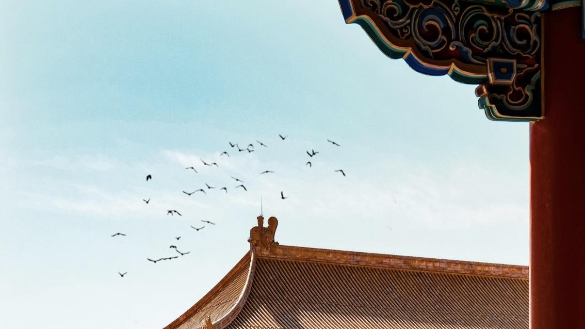 厦门新旅游人--幻映星河负责人徐茂源谈对文旅了解